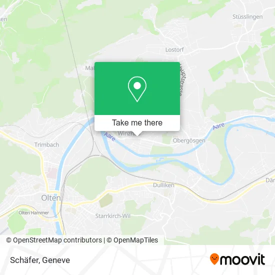 Schäfer map