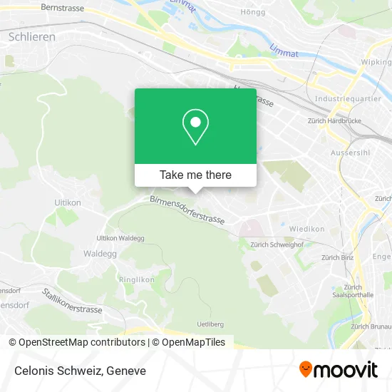 Celonis Schweiz plan