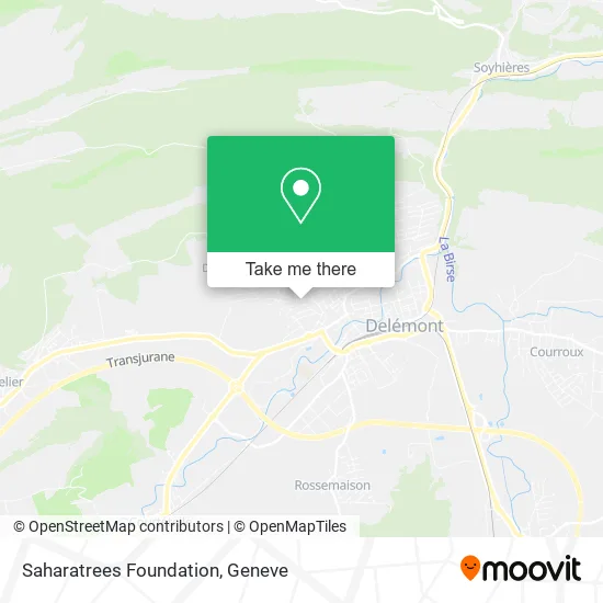 Saharatrees Foundation plan