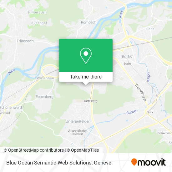 Blue Ocean Semantic Web Solutions map