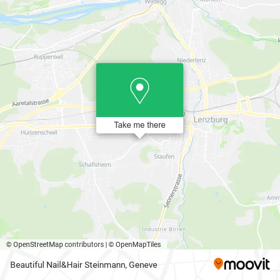 Beautiful Nail&Hair Steinmann map