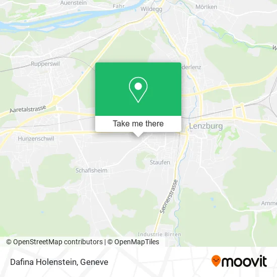Dafina Holenstein map