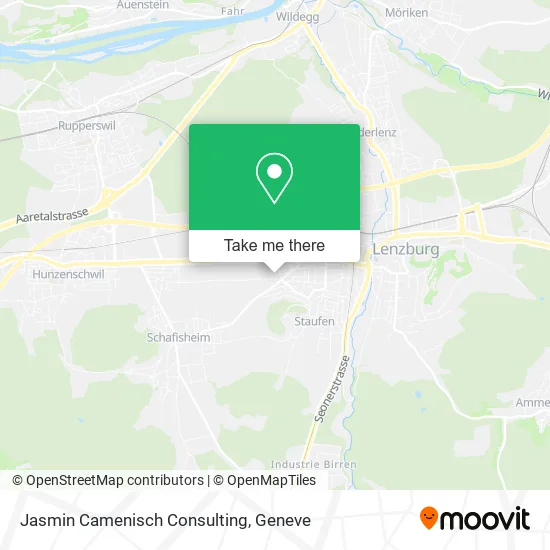 Jasmin Camenisch Consulting map