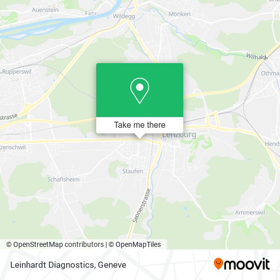 Leinhardt Diagnostics map