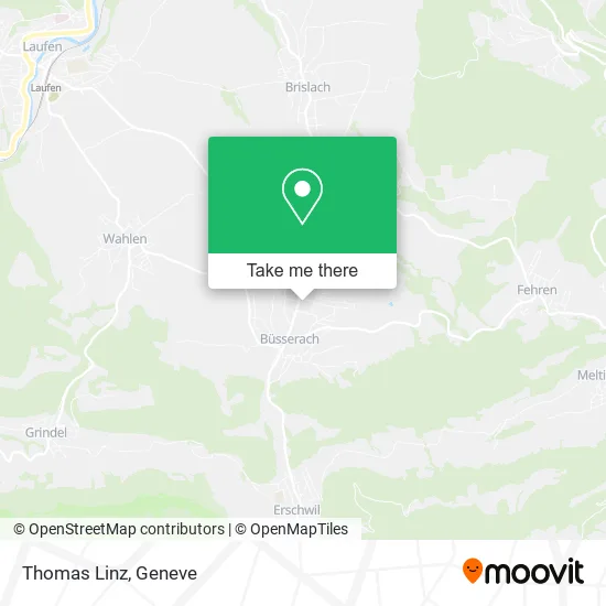 Thomas Linz map