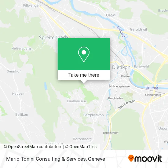 Mario Tonini Consulting & Services map