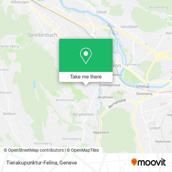 Tierakupunktur-Felina map