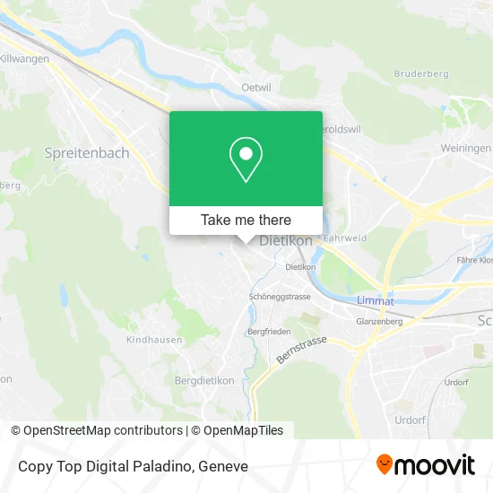 Copy Top Digital Paladino map