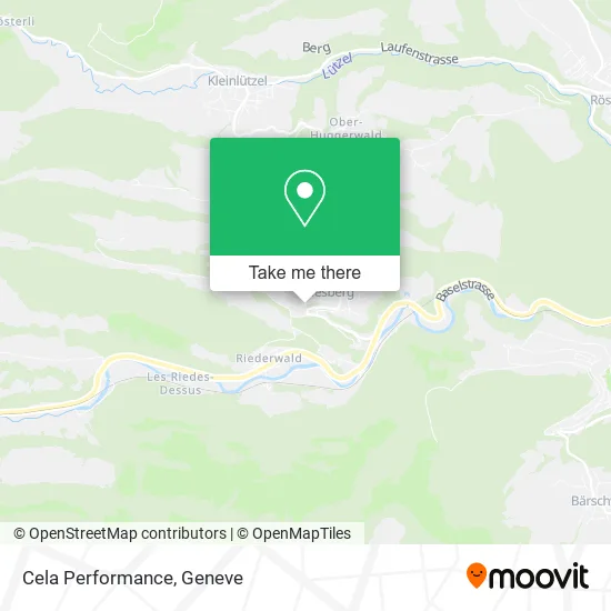 Cela Performance map