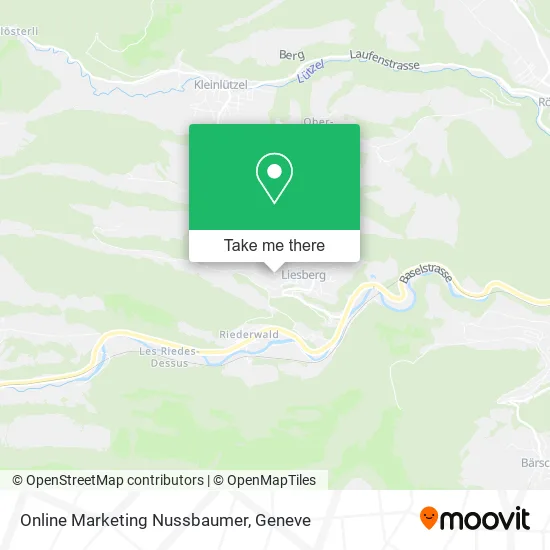 Online Marketing Nussbaumer map