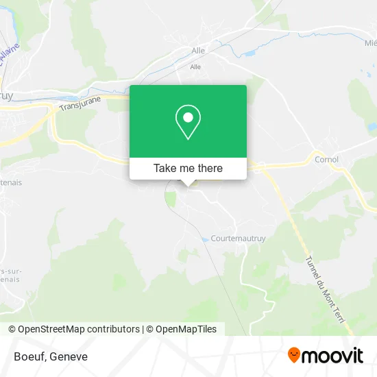 Boeuf plan