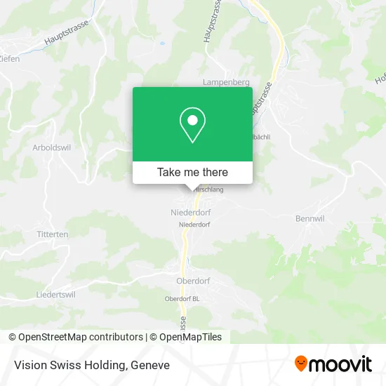 Vision Swiss Holding plan