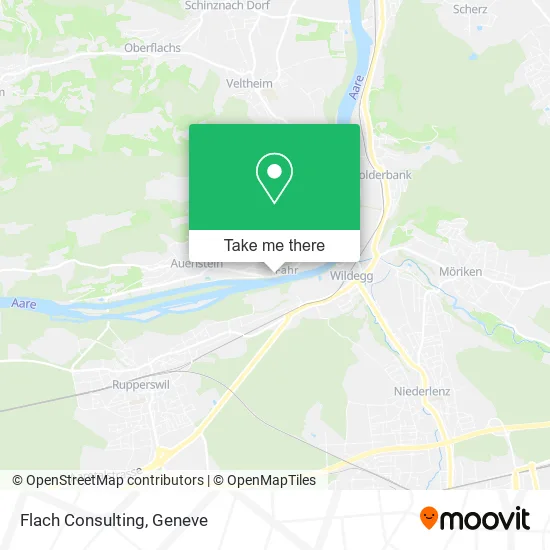 Flach Consulting plan