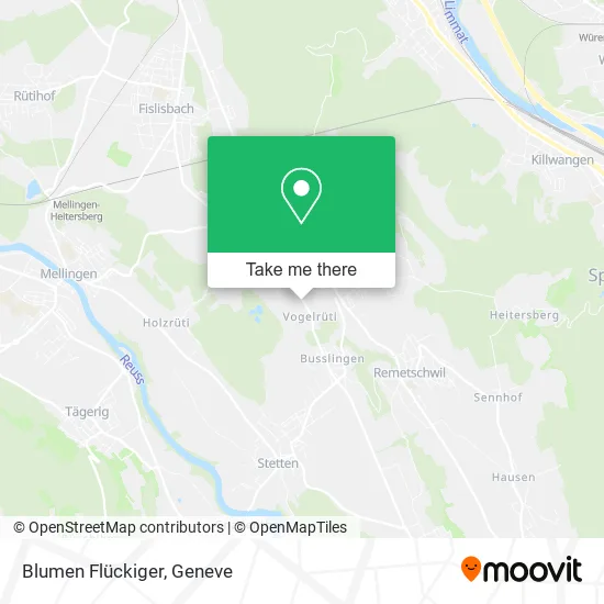 Blumen Flückiger map