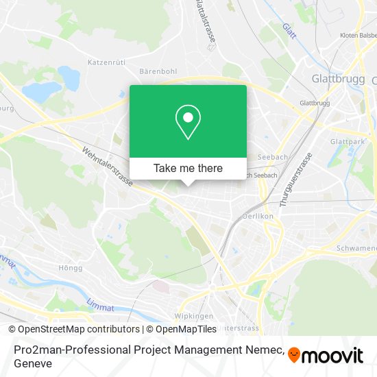 Pro2man-Professional Project Management Nemec map