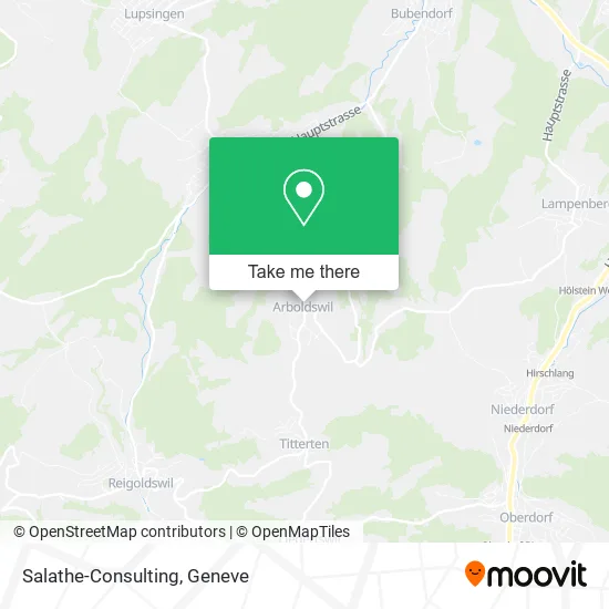Salathe-Consulting map