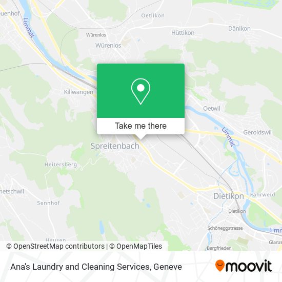 Ana's Laundry and Cleaning Services plan