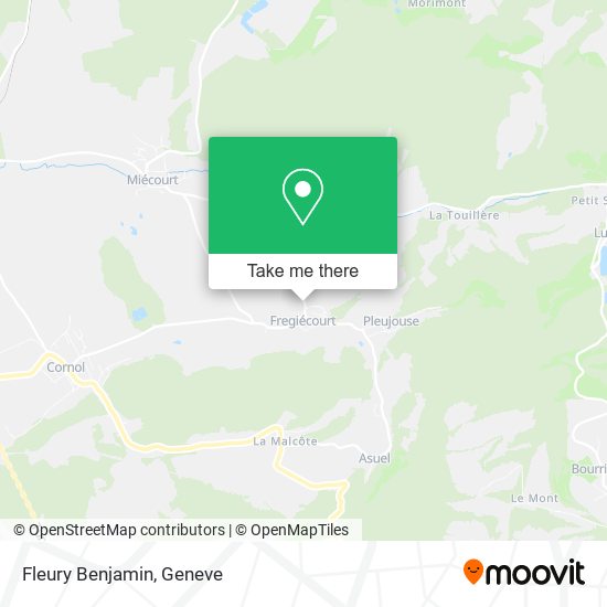 Fleury Benjamin map