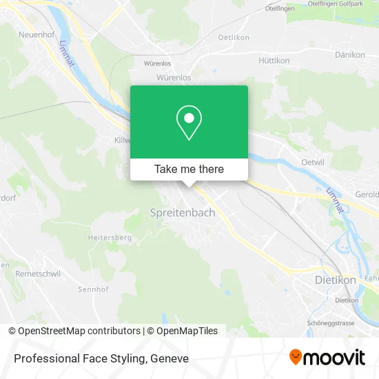 Professional Face Styling map