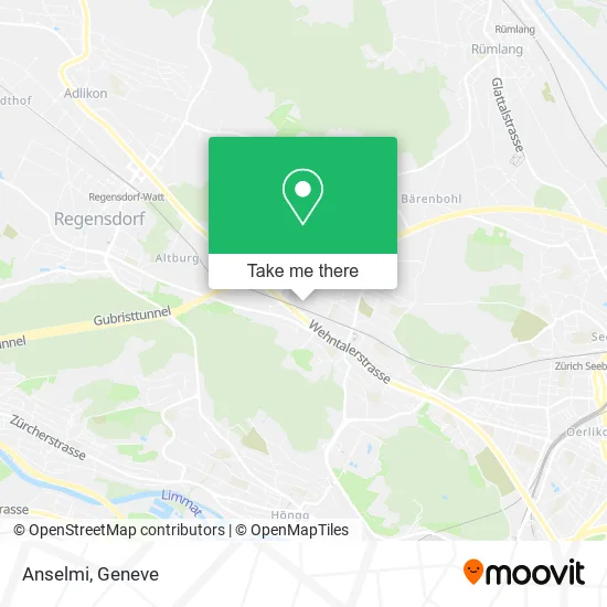 Anselmi plan