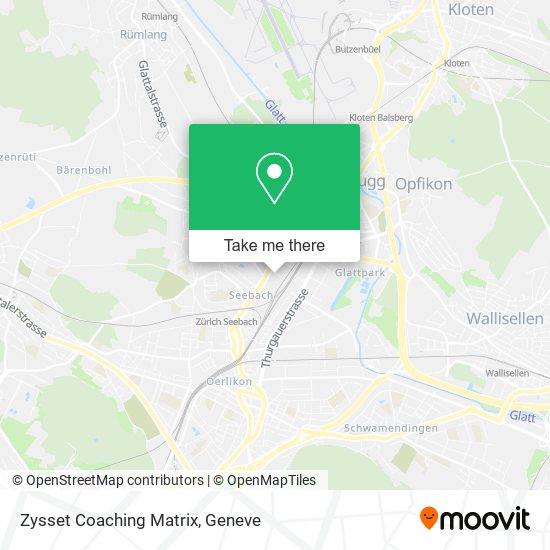 Zysset Coaching Matrix map