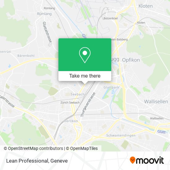 Lean Professional map