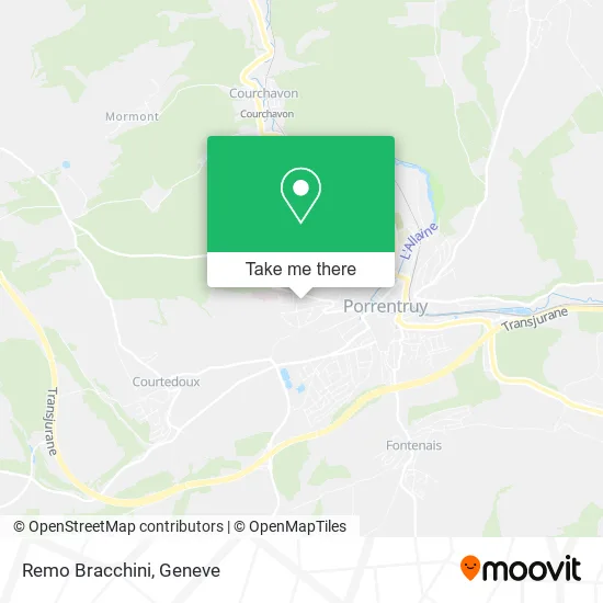 Remo Bracchini map