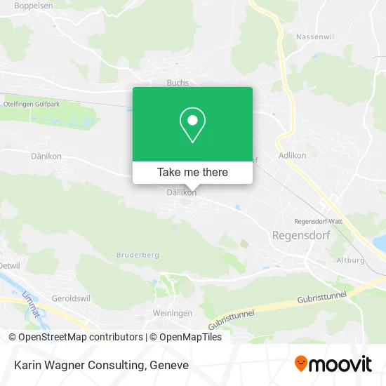 Karin Wagner Consulting plan