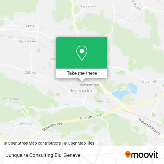 Junqueira Consulting Eiu map