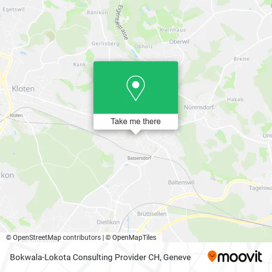 Bokwala-Lokota Consulting Provider CH map