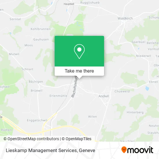 Lieskamp Management Services map