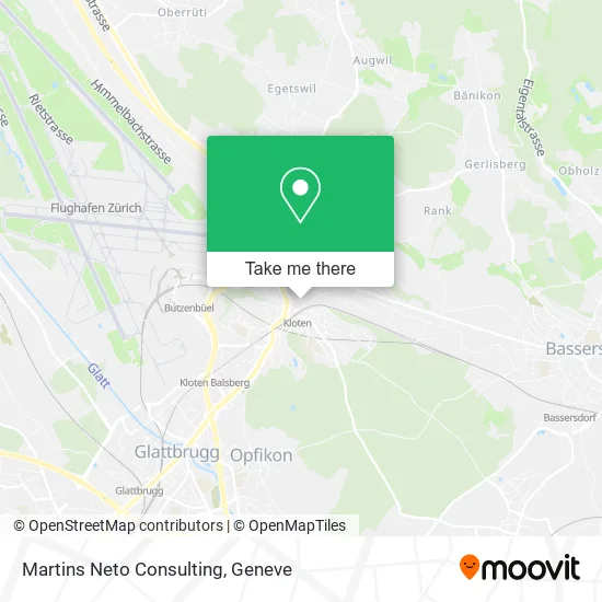 Martins Neto Consulting plan