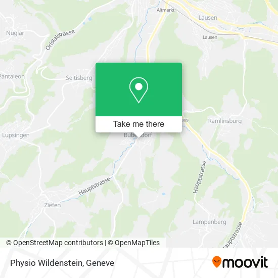 Physio Wildenstein map