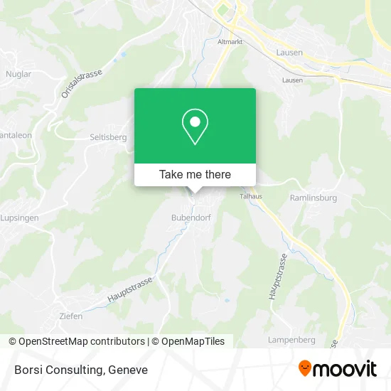 Borsi Consulting map