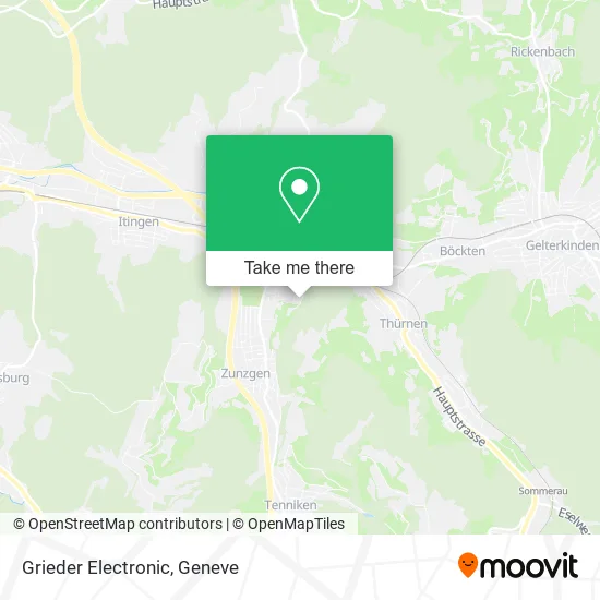 Grieder Electronic map