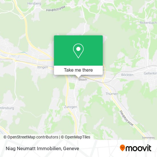 Niag Neumatt Immobilien map