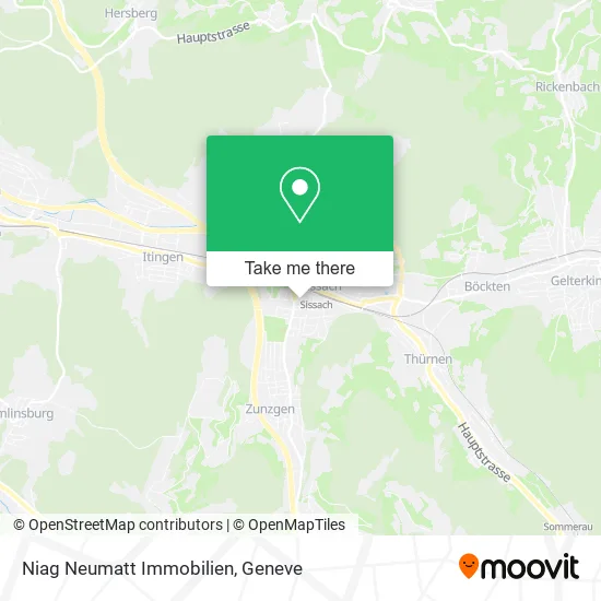 Niag Neumatt Immobilien map