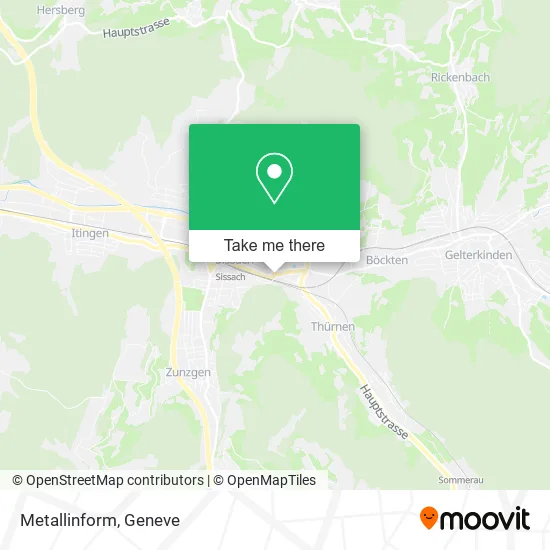 Metallinform plan