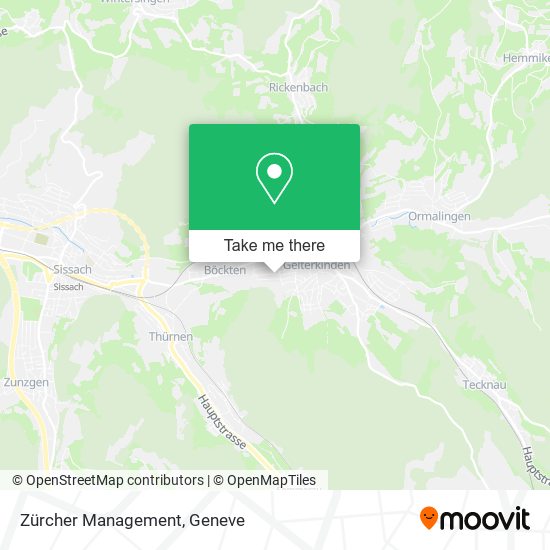 Zürcher Management map