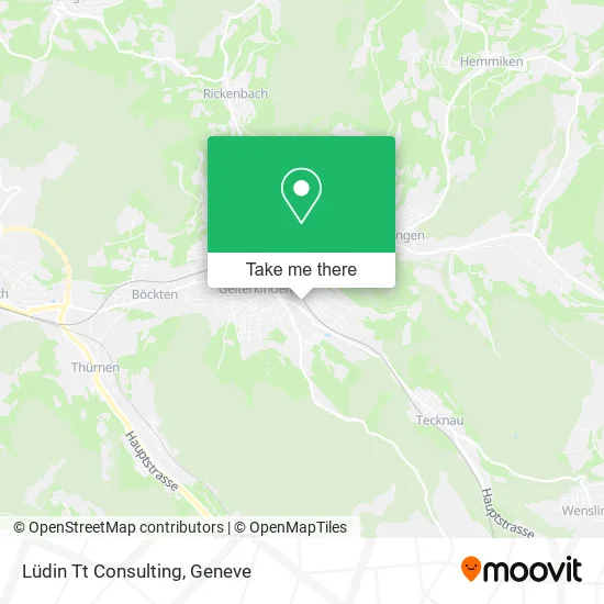 Lüdin Tt Consulting map