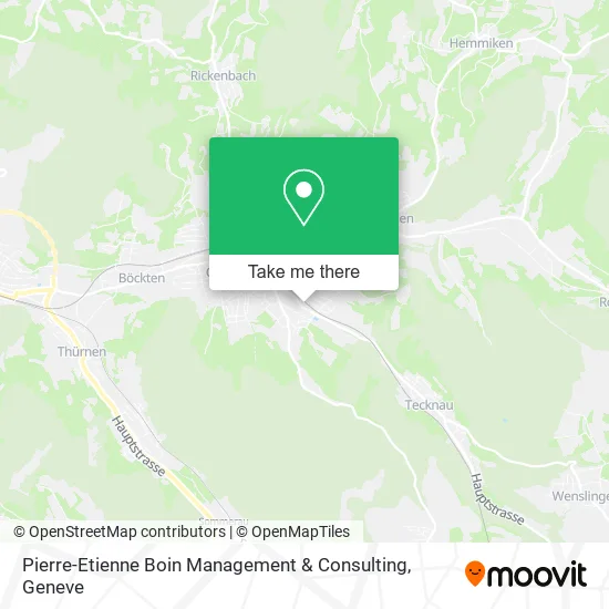 Pierre-Etienne Boin Management & Consulting map