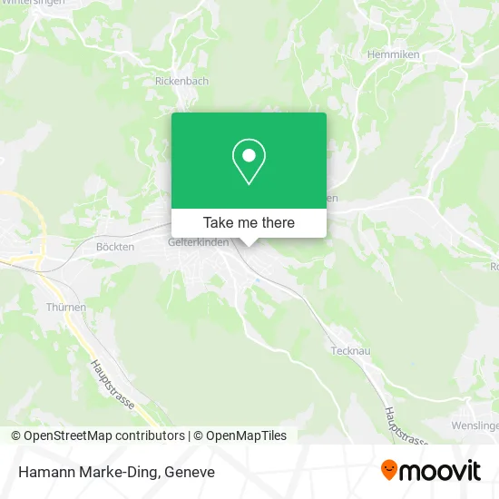 Hamann Marke-Ding map