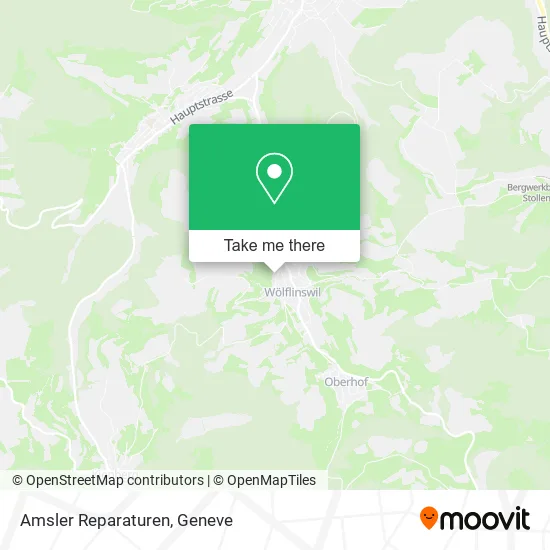 Amsler Reparaturen map