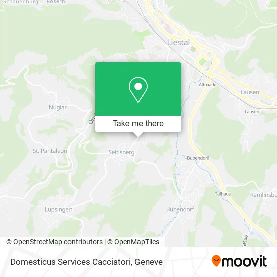 Domesticus Services Cacciatori map