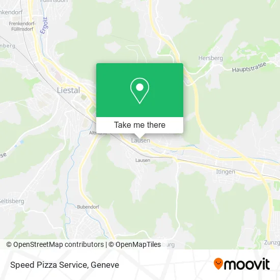 Speed Pizza Service plan