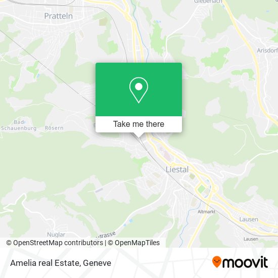 Amelia real Estate map