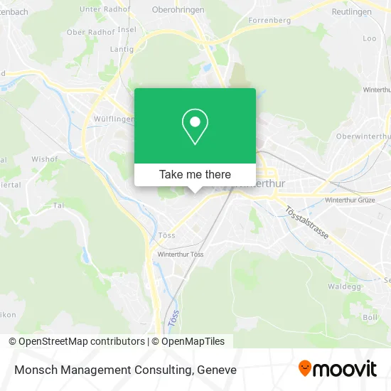 Monsch Management Consulting map