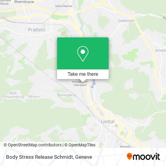 Body Stress Release Schmidt map