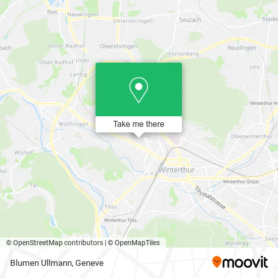 Blumen Ullmann map