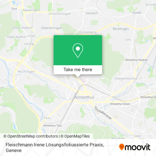 Fleischmann Irene Lösungsfokussierte Praxis map